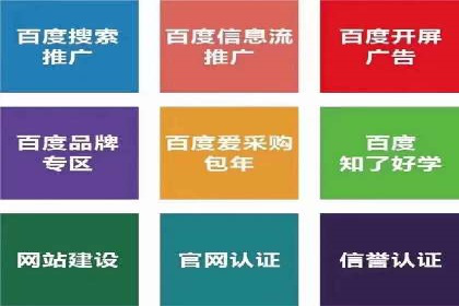 案例揭秘：如何通过信息流广告优化提升品牌影响力